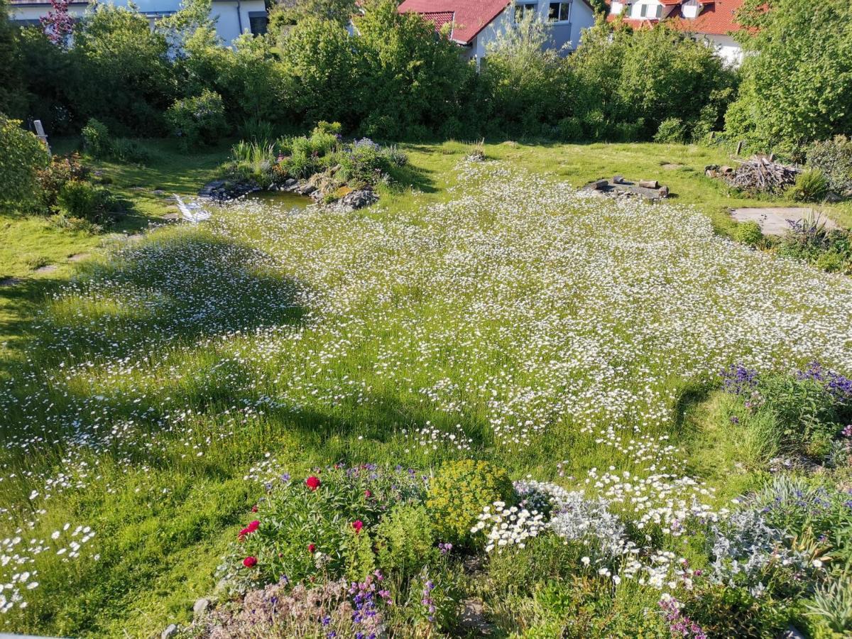 Moderne Ferienwohnung Gartenblick Amtzell エクステリア 写真