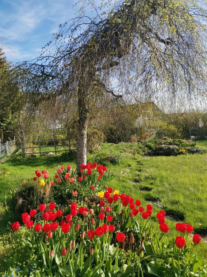 Moderne Ferienwohnung Gartenblick Amtzell エクステリア 写真